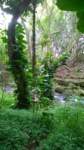 wp_20140802_013_small.jpg