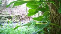 wp_20140802_014_small.jpg