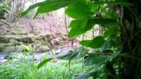 wp_20140802_015_small.jpg