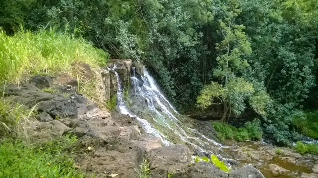 wp_20140802_016.jpg