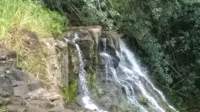 wp_20140802_018_small.jpg