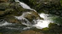 wp_20140802_022_small.jpg