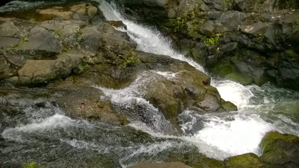 wp_20140802_023.jpg