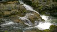 wp_20140802_023_small.jpg
