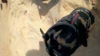 wp_20140802_028_small.jpg