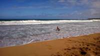 wp_20140802_031_small.jpg