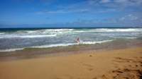 wp_20140802_033_small.jpg