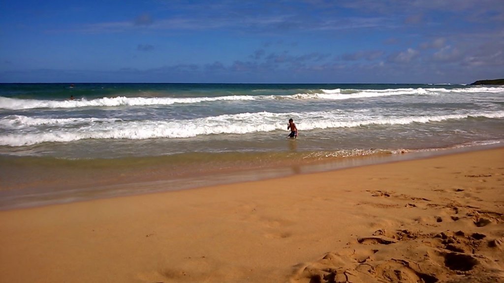 wp_20140802_035.jpg