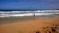 wp_20140802_035_small.jpg