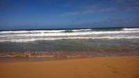 wp_20140802_036_small.jpg