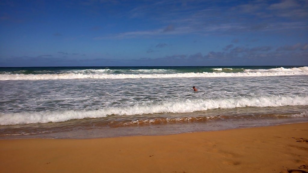 wp_20140802_037.jpg