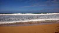 wp_20140802_037_small.jpg