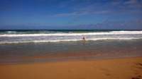 wp_20140802_038_small.jpg