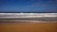 wp_20140802_039_small.jpg