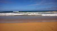 wp_20140802_040_small.jpg