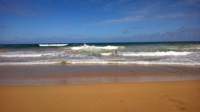 wp_20140802_041_small.jpg