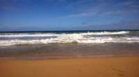 wp_20140802_043_small.jpg