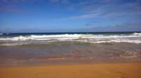 wp_20140802_044_small.jpg