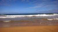 wp_20140802_045_small.jpg