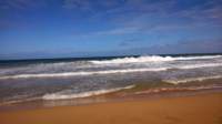 wp_20140802_047_small.jpg