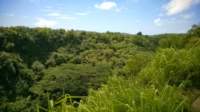 wp_20140804_004_small.jpg