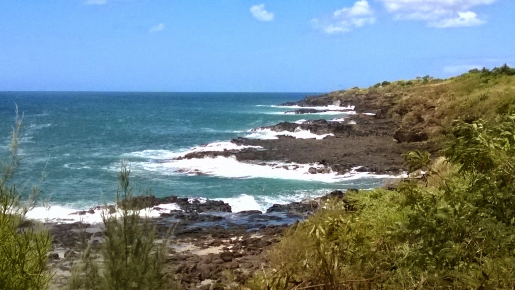 wp_20140804_008.jpg
