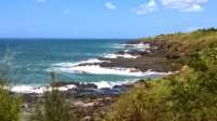 wp_20140804_008_small.jpg