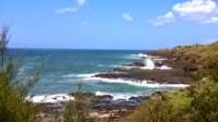 wp_20140804_010_small.jpg