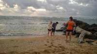 wp_20140804_06_10_18_pro_small.jpg