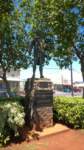 wp_20140804_14_36_59_pro_small.jpg