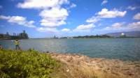 wp_20140805_009_small.jpg