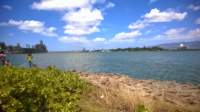 wp_20140805_011_small.jpg