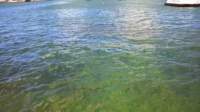 wp_20140805_11_48_26_pro_small.jpg