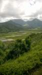wp_20140807_001_small.jpg