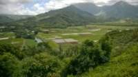 wp_20140807_002_small.jpg