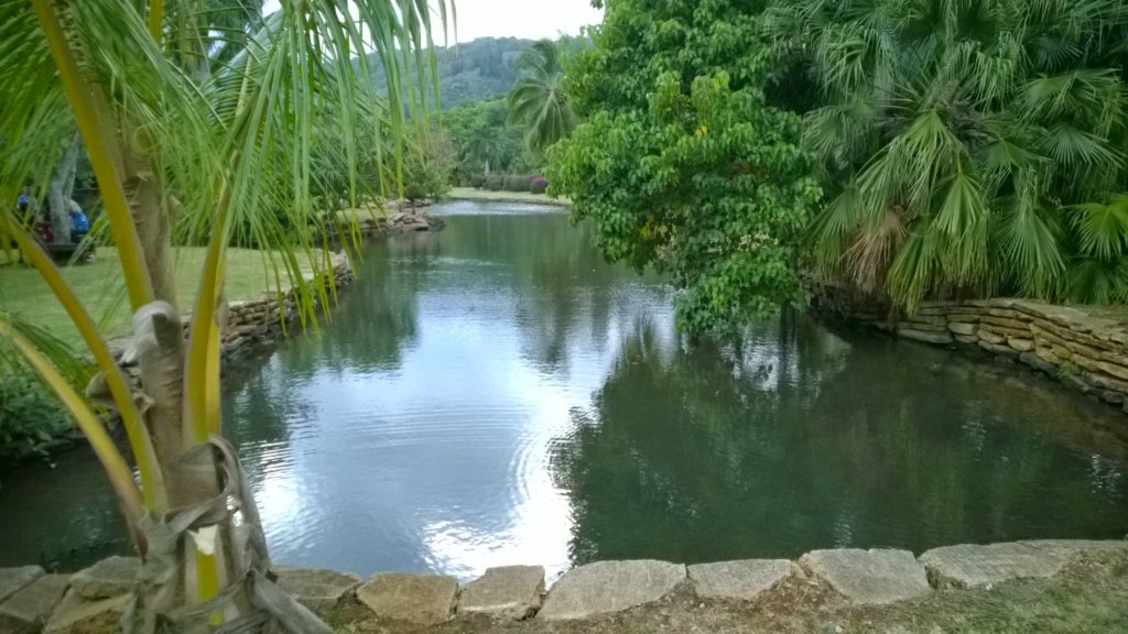 wp_20140807_003.jpg
