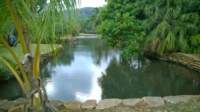 wp_20140807_003_small.jpg