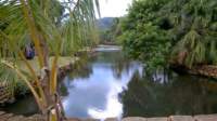 wp_20140807_005_small.jpg