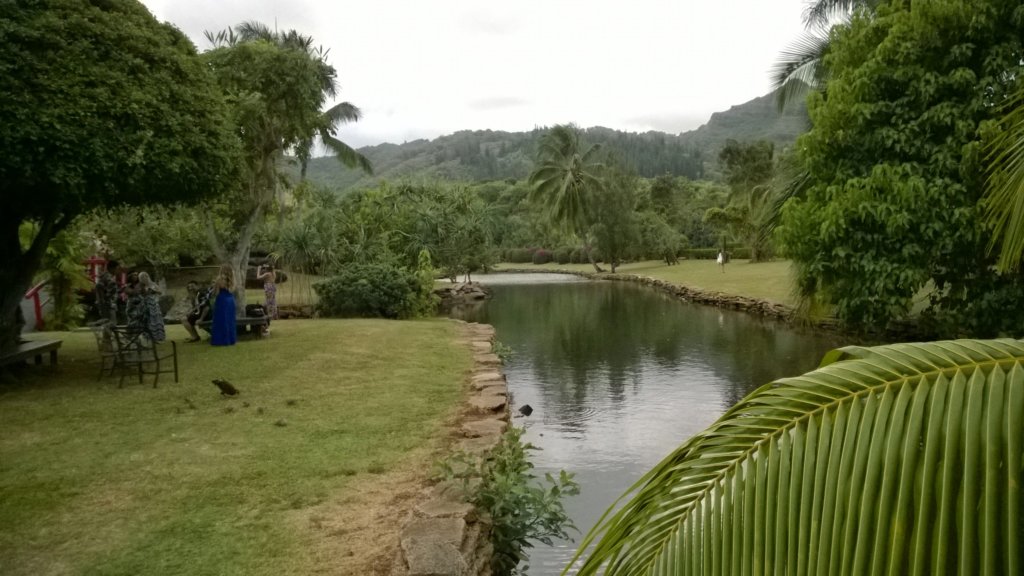 wp_20140807_006.jpg