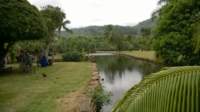wp_20140807_006_small.jpg