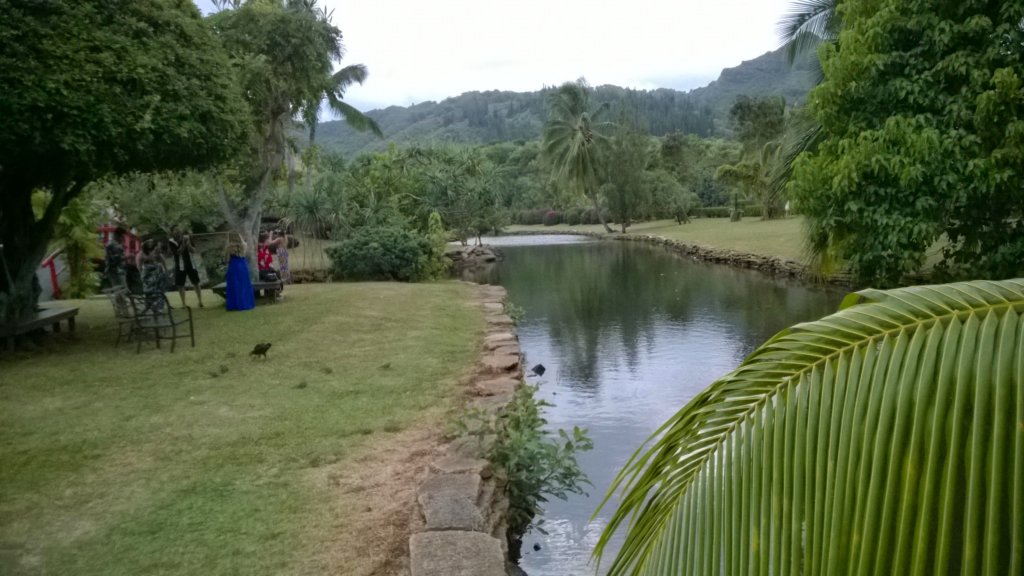 wp_20140807_008.jpg