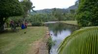 wp_20140807_008_small.jpg