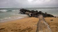 wp_20140808_12_05_55_pro_small.jpg