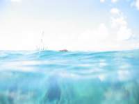 cozumel039_small.jpg