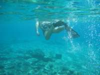 cozumel042_small.jpg