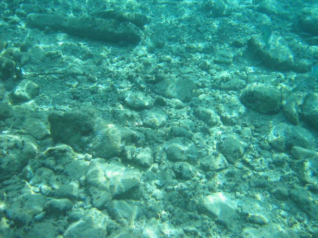 cozumel043.jpg