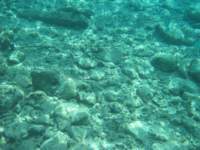 cozumel043_small.jpg