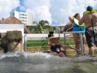cozumel047_small.jpg