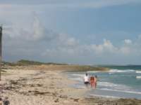 cozumel108_small.jpg