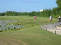 cozumel148_small.jpg